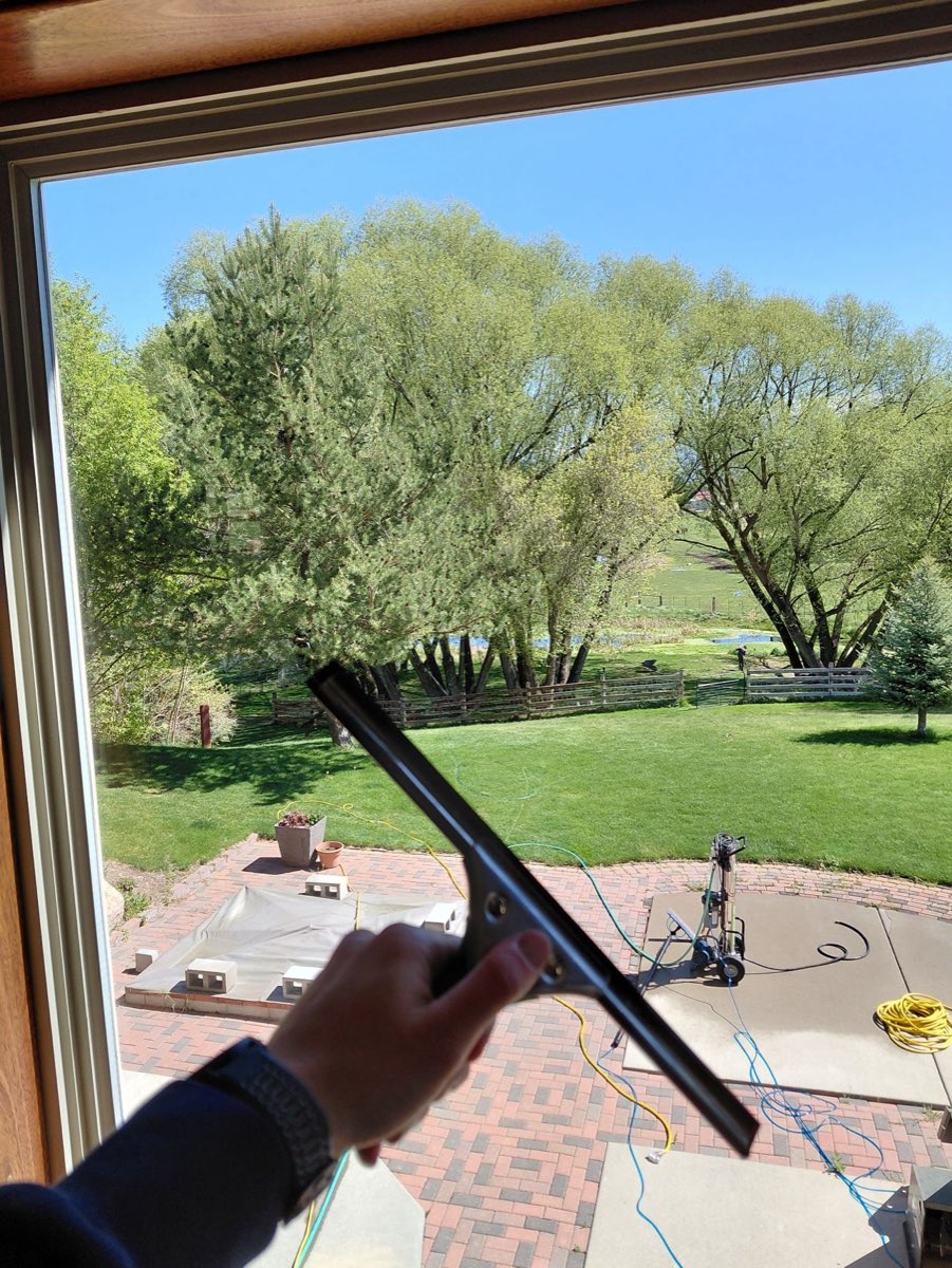 Squeegee clearing a window that looks out on a green backyard